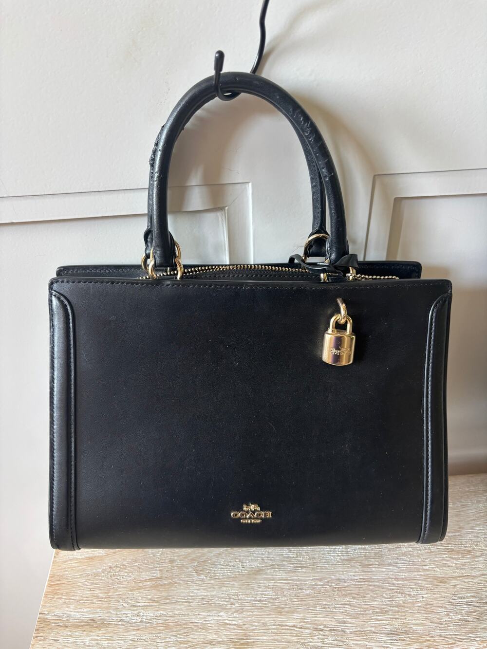 Coach Zoe Carryall Tote Bag